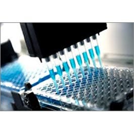 Molecular Biology Molecular Biology