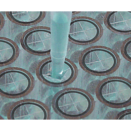 Microbiology Microbiology